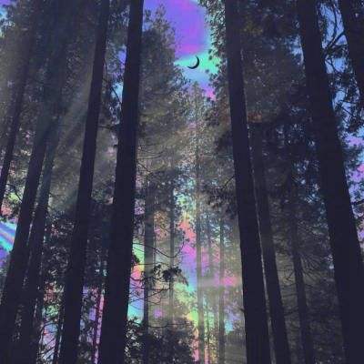 卡通全明星手机版